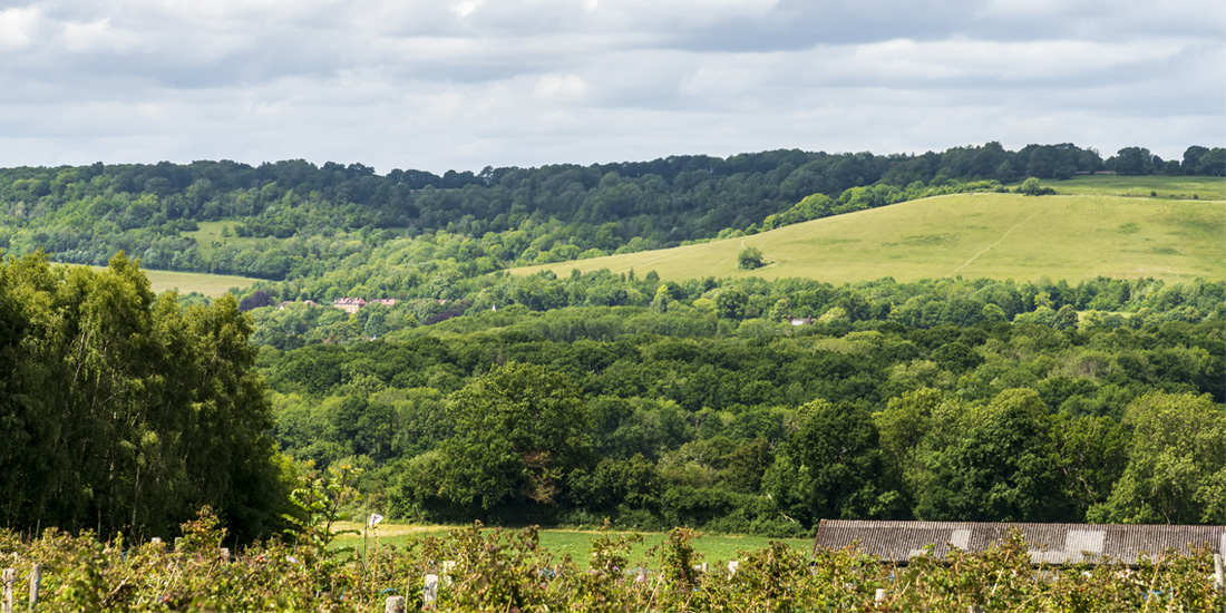 uk ten point plan carbon offsetting