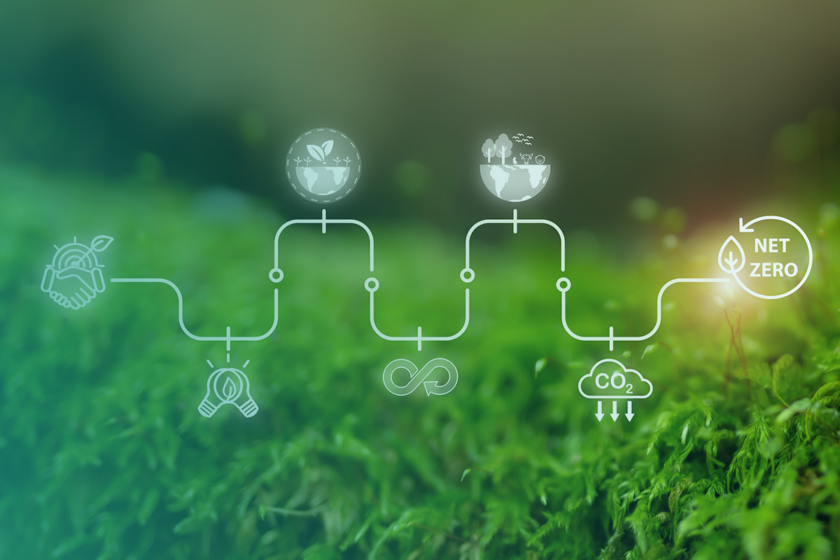 “Graphic showing a sustainability pathway toward net zero, representing Project Management and Ongoing Expert Support Of Formal Target Pathways, Including Net Zero and Science Based Targets.”